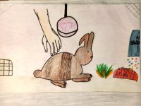 Lieblingstiere-2024/25